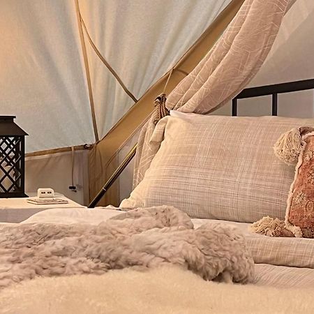 Shenandoah Valley Glamping - Amazing Views - Farm Edinburg Zewnętrze zdjęcie