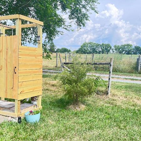 Shenandoah Valley Glamping - Amazing Views - Farm Edinburg Zewnętrze zdjęcie