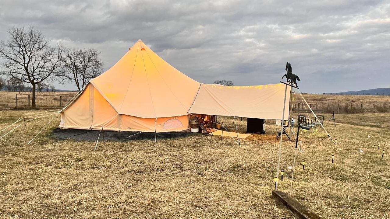 Shenandoah Valley Glamping - Amazing Views - Farm Edinburg Zewnętrze zdjęcie