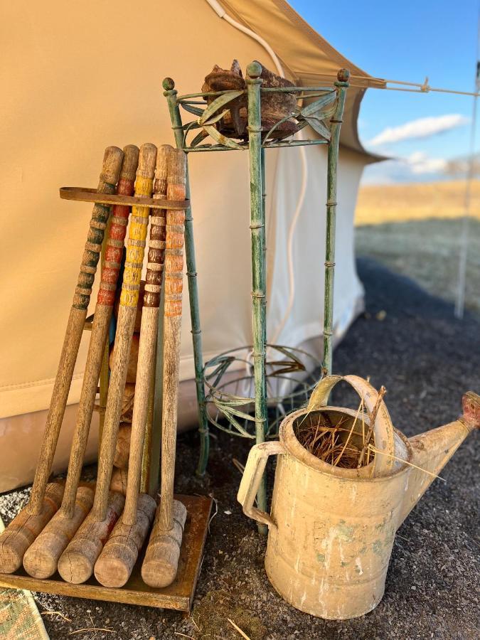 Shenandoah Valley Glamping - Amazing Views - Farm Edinburg Zewnętrze zdjęcie