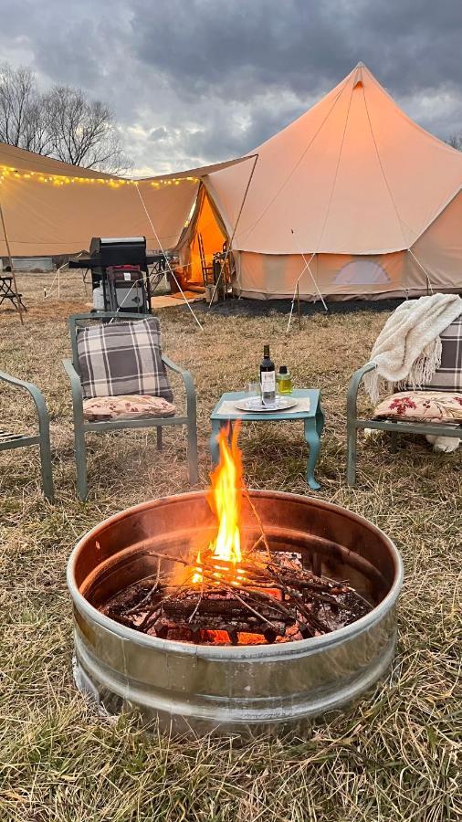 Shenandoah Valley Glamping - Amazing Views - Farm Edinburg Zewnętrze zdjęcie