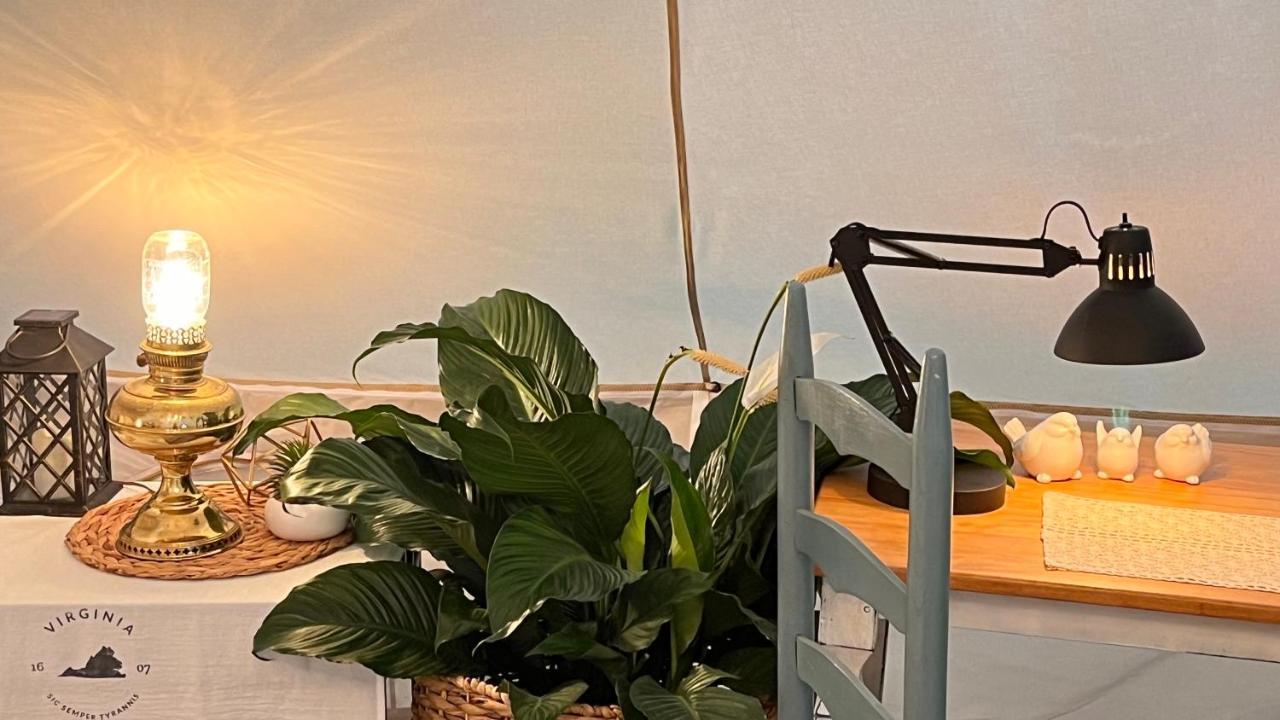 Shenandoah Valley Glamping - Amazing Views - Farm Edinburg Zewnętrze zdjęcie