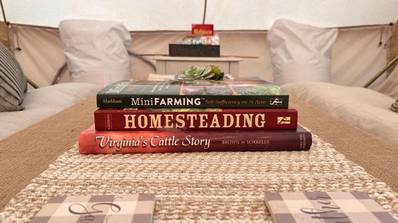 Shenandoah Valley Glamping - Amazing Views - Farm Edinburg Zewnętrze zdjęcie