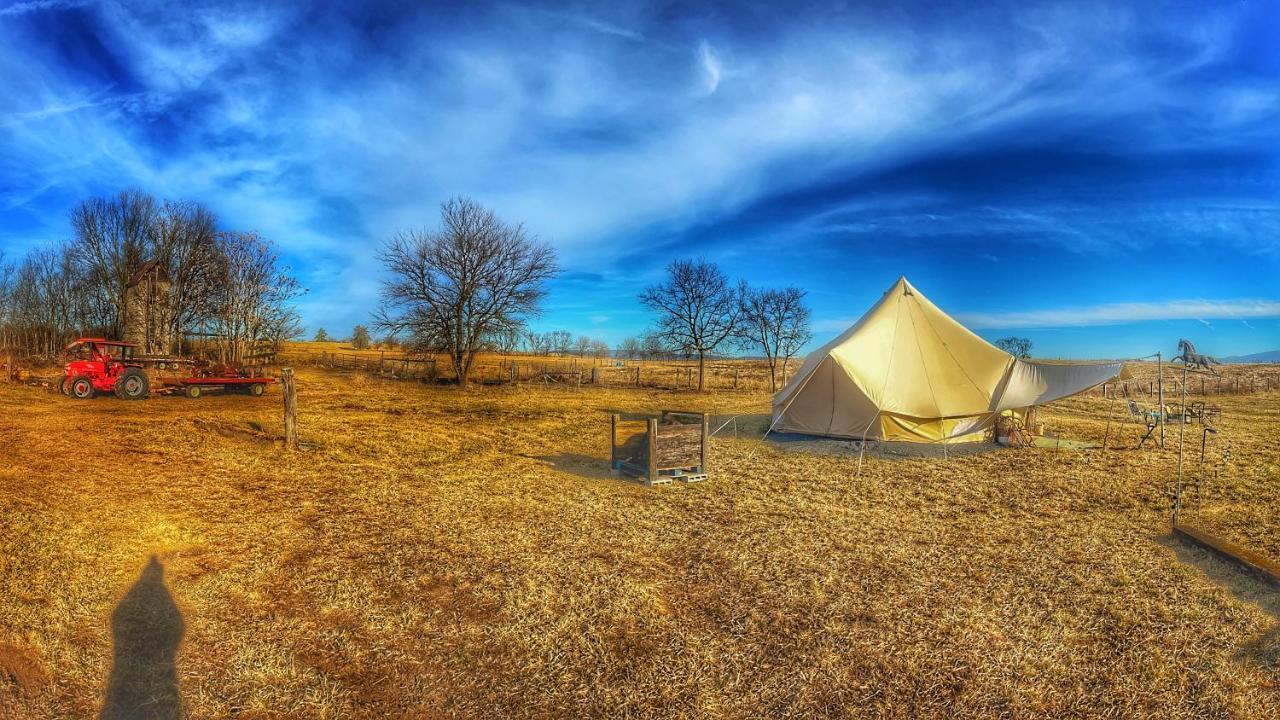 Shenandoah Valley Glamping - Amazing Views - Farm Edinburg Zewnętrze zdjęcie