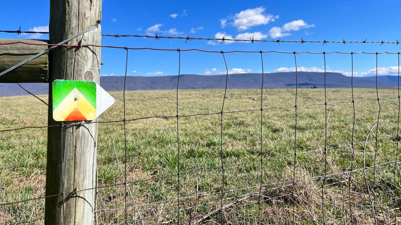 Shenandoah Valley Glamping - Amazing Views - Farm Edinburg Zewnętrze zdjęcie