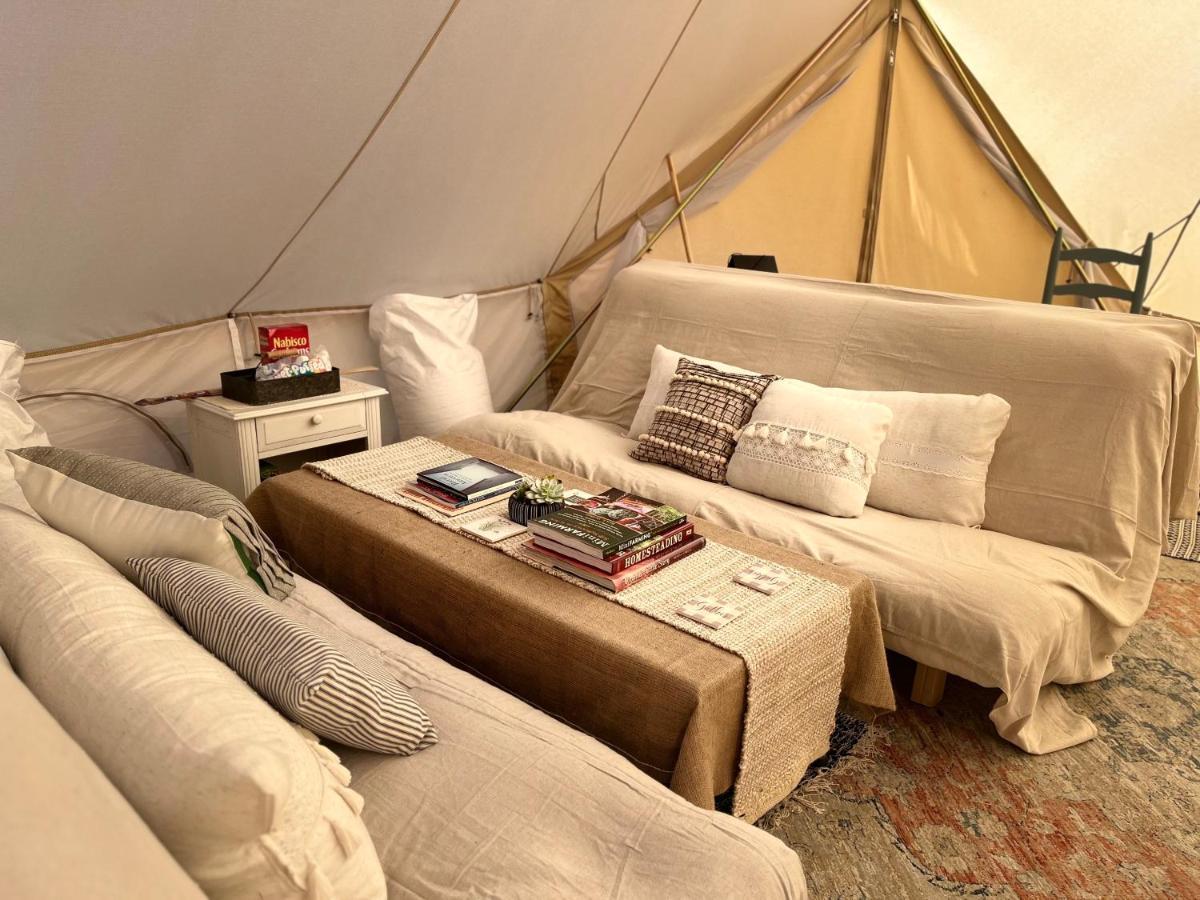 Shenandoah Valley Glamping - Amazing Views - Farm Edinburg Zewnętrze zdjęcie