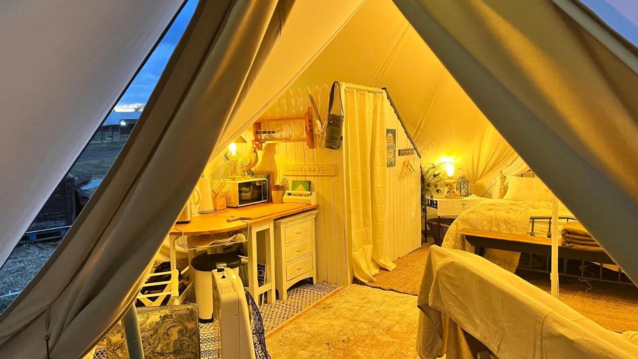 Shenandoah Valley Glamping - Amazing Views - Farm Edinburg Zewnętrze zdjęcie