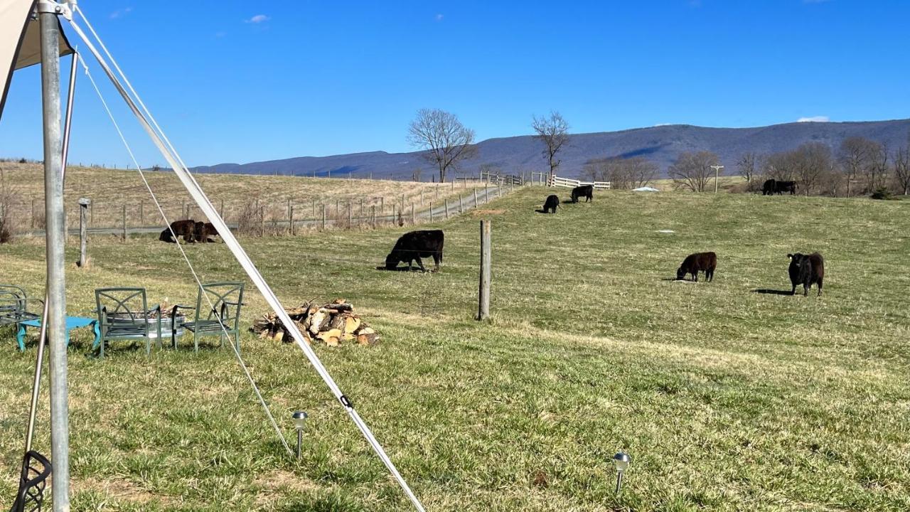 Shenandoah Valley Glamping - Amazing Views - Farm Edinburg Zewnętrze zdjęcie
