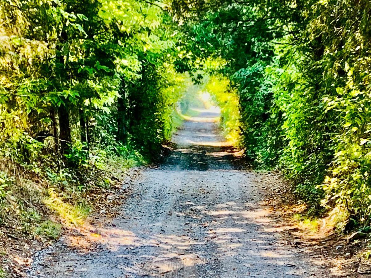 Shenandoah Valley Glamping - Amazing Views - Farm Edinburg Zewnętrze zdjęcie